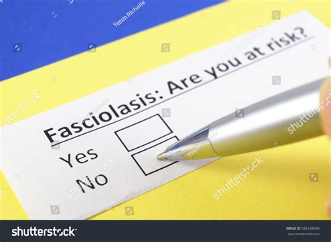 Fascioliasis You Risk Yes No Stock Photo 588338009 | Shutterstock