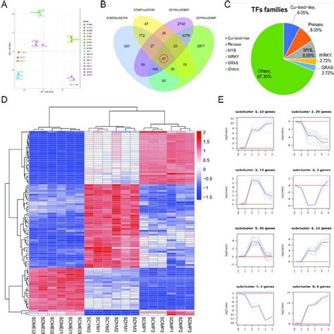 Preliminary Analysis Of Transcriptomic Data A Principal Component Download Scientific