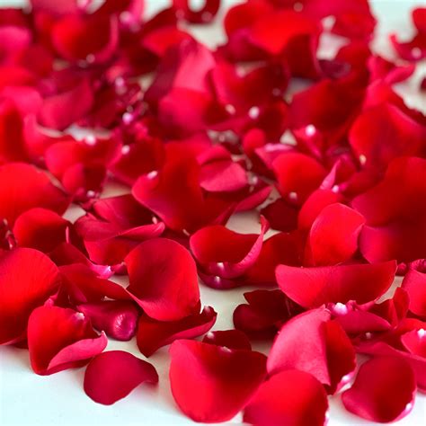 Valentines Rose Petals Flower Delivery San Francisco