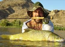 yellowfish conservation and research