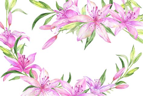 Free Clip Liliess Download Free Clip Liliess Png Images Free Cliparts On Clipart Library