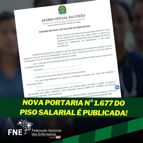 FNE Federação Nacional dos Enfermeiros