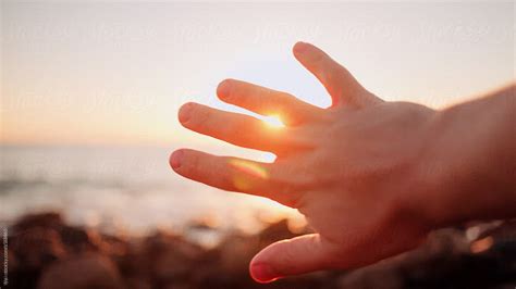 Hand Sun Beach Sea Summer Nature By Stocksy Contributor Ilya Stocksy