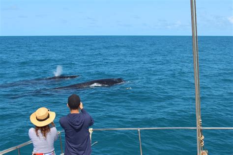 Parque Nacional Marinho Dos Abrolhos Futuri Brasil