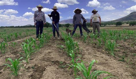 Avanza Transición Agroecológica Vía La Estrategia De Acompañamiento