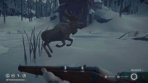 Aggressive Moose The Long Dark K Xbox Series X Youtube