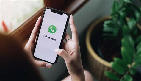 Guia Completa Paso A Paso Para Enviar WhatsApp Sin Contacto