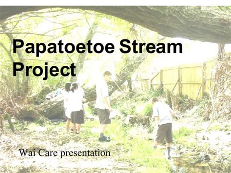 Papatoetoe Stream Project | PPT