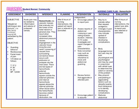 Nursing Care Plan Template Word Inspirational Nursing Care Plan