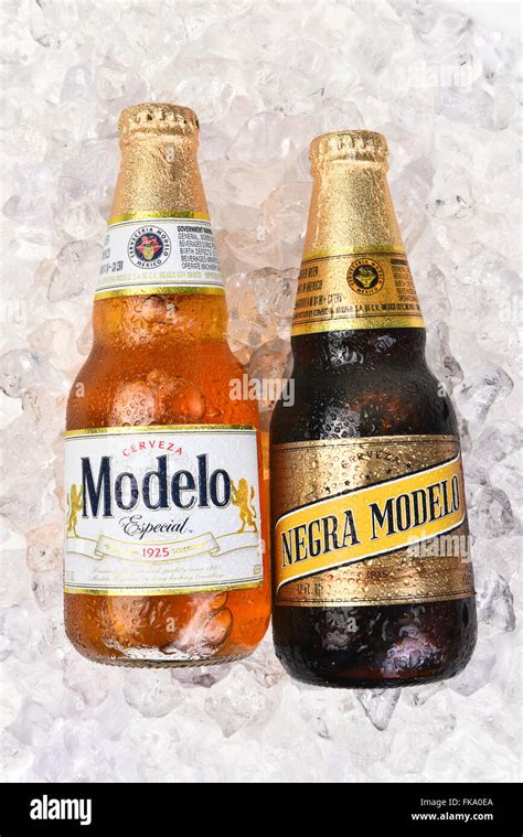 Two Modelo beer bottles on a bed of ice. Negra Modelo and Modelo Stock ...