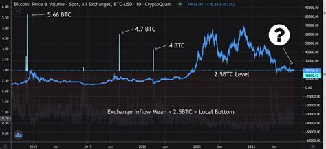 Cryptoquant Powerful Bear Market Bottom Indicator Btc