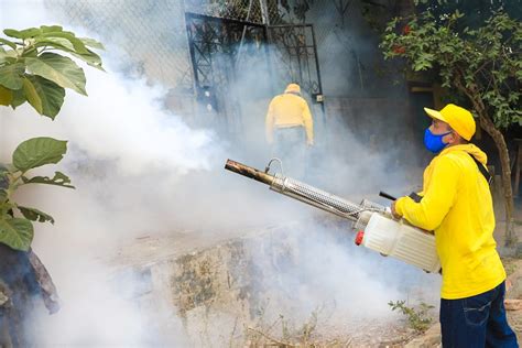 Ministerio De Salud Contin A Jornadas De Fumigaci N Para Prevenir