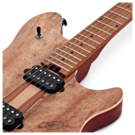 Evh Wolfgang Wg Standard Exotic Spalted Maple At Gear Music