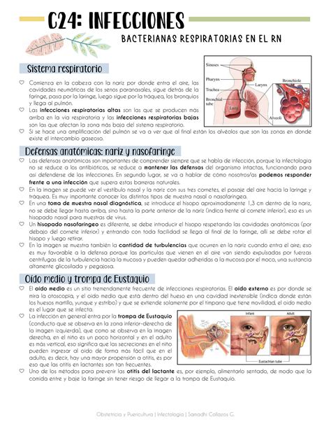 SOLUTION Infecciones bacterianas respiratorias en el recién nacido