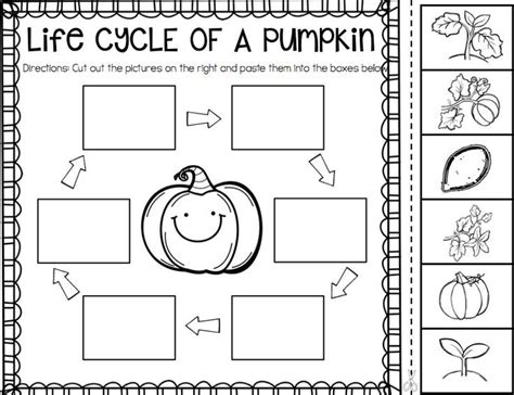 Pumpkin Life Cycle Image Free Printables