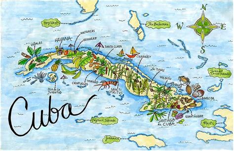 Illustrated Cuba Map Print | Illustrated map, Map of cuba, Map print