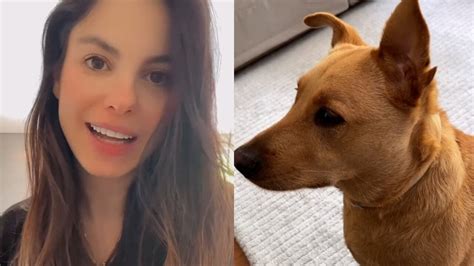 Sthefany Brito Posta V Deo Fofo Cachorrinha Que Virou Guardi De