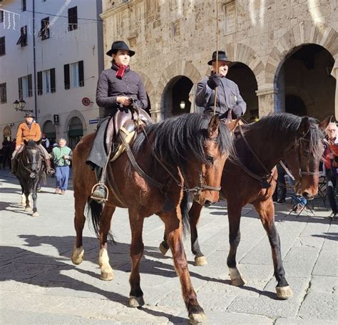 Massa Marittima Ha Celebrato La Festa Di Santantonio Abate Protettore