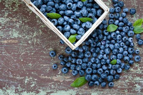 Trend Obst Der Blaubeer Boom H Lt An Fit For Fun