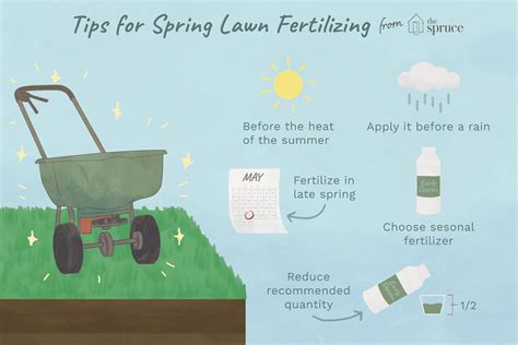 When to Fertilize the Lawn in Spring