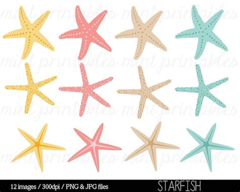 Anchorman 2 Starfish Clipart