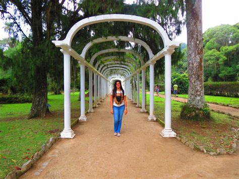 Natureza Viva Instituto De Pesquisa Jardim Nico Do Rio De Janeiro