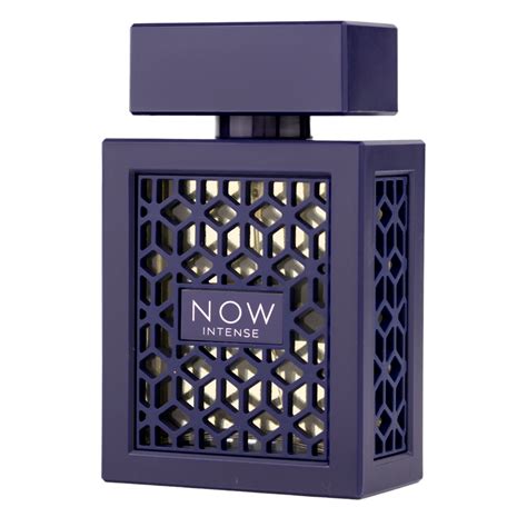 RAVE Now Rouge Eau De Parfum Unisex 100ml Hueleamillonario