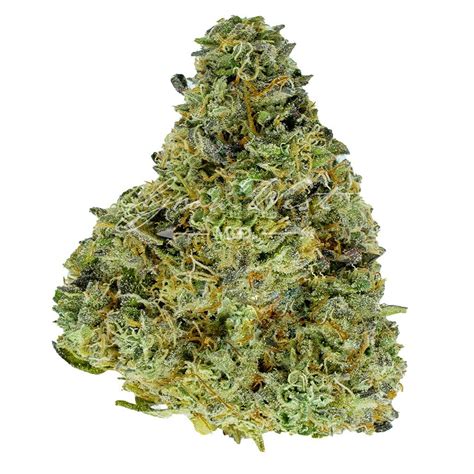 Malibu Cake Gold Trimmed 3 5g Grow West Cannabis Company