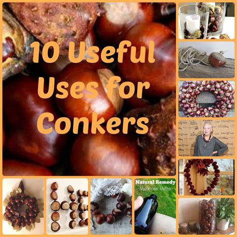 10 Useful Uses For Conkers My Make Do And Mend Life Conkers Make Do And Mend 10 Things