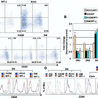 Defective Thymocyte Development In Cdk Mutant Mice A Gross Picture