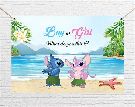 Lilo Stitch Angel Baby Gender Reveal Personalised Background Backdrop