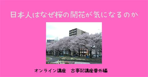 日本人はなぜ桜の開花が気になるのか｜うずはし まゆみ（てらこ箱）｜note