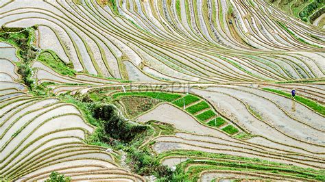 Terraced Fields Picture And Hd Photos Free Download On Lovepik