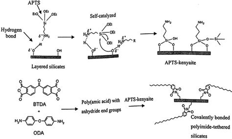 Schematic Drawing Of The Formation Of The Process Of Covalently Bonded