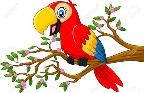 Cute Parrot Clipart 20 Free Cliparts Download Images On Clipground 2024