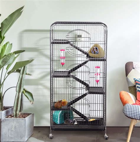 The 6 Best Ferret Cages of 2022