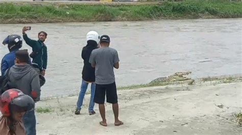 Berita Populer Sulteng Warga Palu Selfie Bareng Buaya Bi Luncurkan