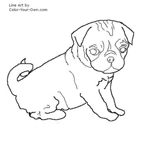 Pug With A Hat Pages Coloring Pages