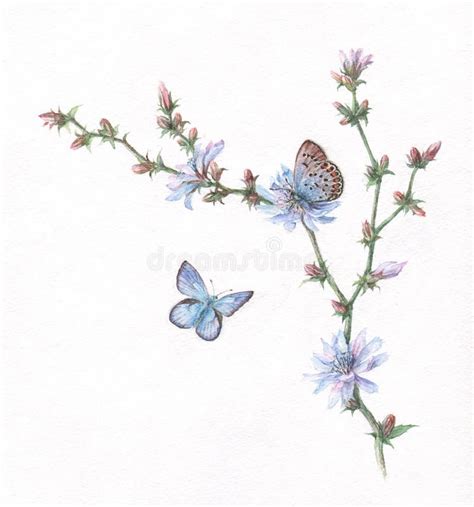 Butterflies Watercolor Painting Stock Illustration - Illustration of ...