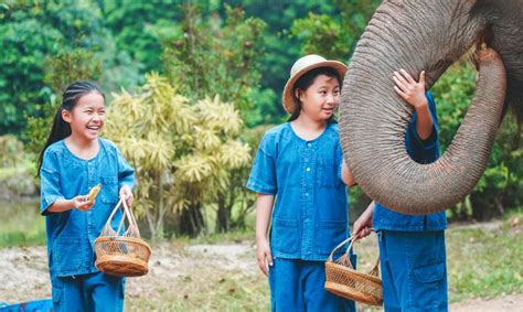 带孩子来一场暖冬之旅 ️亲子游避冬旅行地推荐！ 知乎