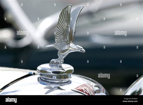 Aquila D Argento In Volo Emblema Sul Cofano Del Motore Di Un Auto D