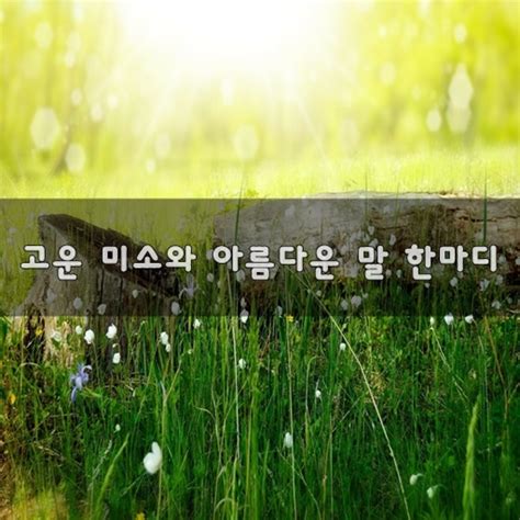 고운 미소와 아름다운 말 한마디~ 네이트 판