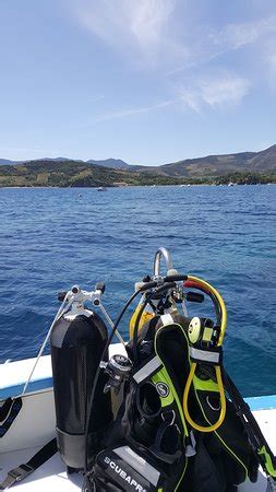 Le Paradis Des Bulles Port Vendres Aktuelle Lohnt Es Sich