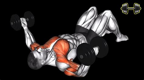 Ejercicios Para Pecho Con Mancuernas Chest Exercises With Dumbbells