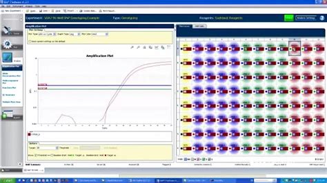 Real-Time PCR Applications | Thermo Fisher Scientific - US