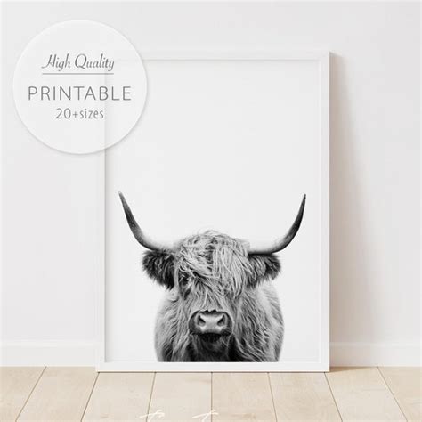 Highland Cow Photo Wall Art Wall Decor Minimal Print Modern Etsy Hong