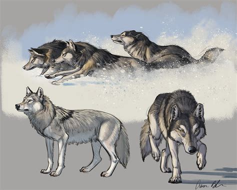 Cool Drawings Of Wolves