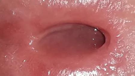 Close Up Cocks Gay Porn Pics Nude Men In Free Sex Photos XHamster