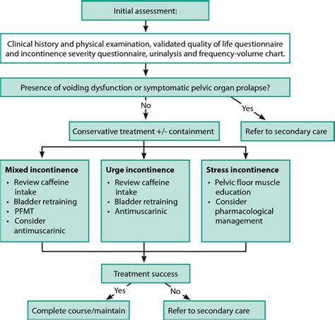 Care Pathway For The Management Of Stress Urinary Incontinence Sui Hot Sex Picture