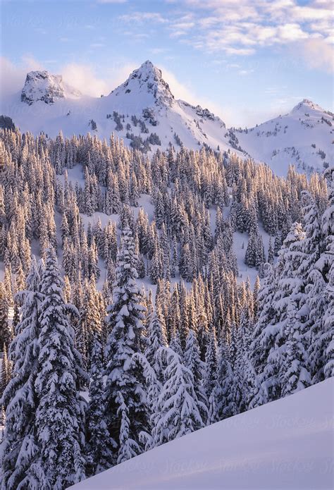 Mount Rainier National Park Winter